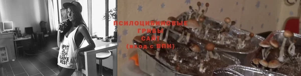 дживик Бронницы
