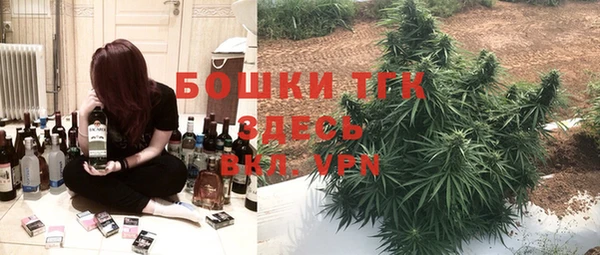 дживик Бронницы
